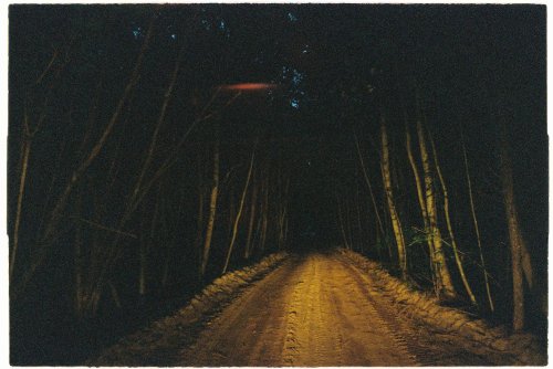 Samsung-Fino-35SE Kodak Color Plus 200 expired