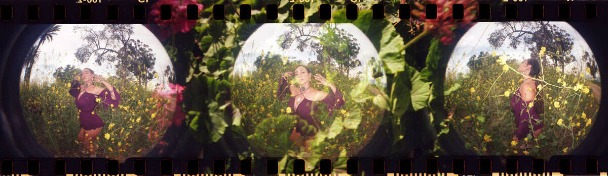 Review-Lomography Sprocket Rocket panorama