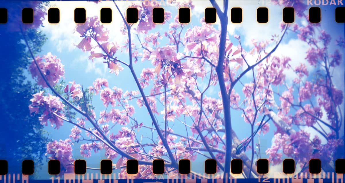 Lomography Sprocket Rocket