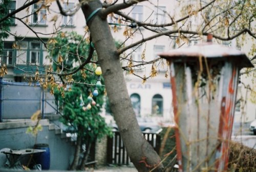 Lomography Color Negative 800/35