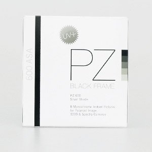 PZ 600 Silver Shade Black Frame