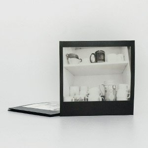 PZ 600 Silver Shade Black Frame