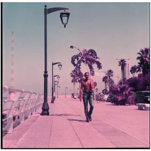 Lomography LomoChrome Purple Petillant Edition ISO 100-400 120мм