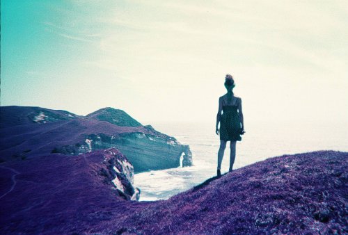 Lomography Simple Use lomochrome purple плівкова камера 