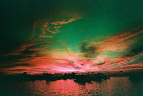 Lomography Simple Use камера купити 