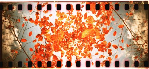 Lomography Sprocket Rocket Lomography XPro 200 ISO 