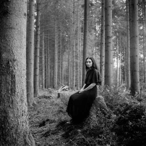 Kodak T-MAX 400 середній формат 120