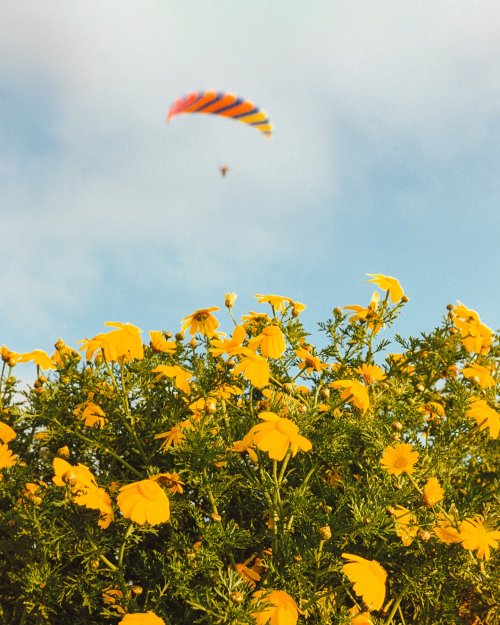 Kodacolor 200 аналогова фотографія 