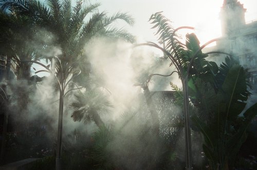 Candido 800 Fujica ST801