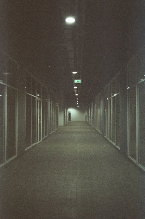 Fuji DL-15 KODAK VISION3 250D  аналогова фотографія, камера з фіксованим фокусом