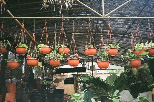 Fuji DL-15 Kodak Colorplus 200 плівка 35mm