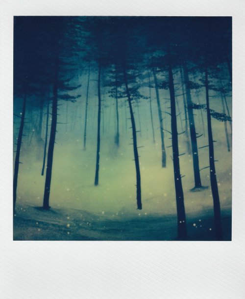 Polaroid Now 3 пейзаж