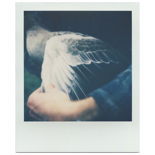 Polaroid Now 3 класичний 