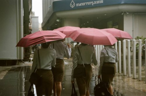 Minolta Riva Zoom 70 Kodak Portra 160