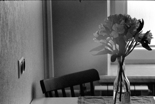 LuckyPan SHD 400 400 Kiev 2 