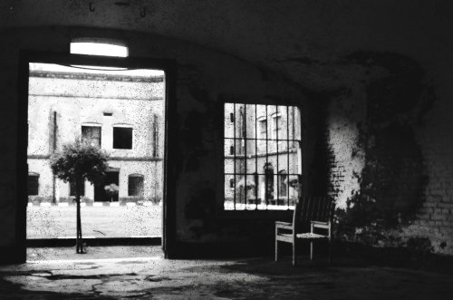 135 чорно-біла плівка Lucky shd400 Nikon FM 