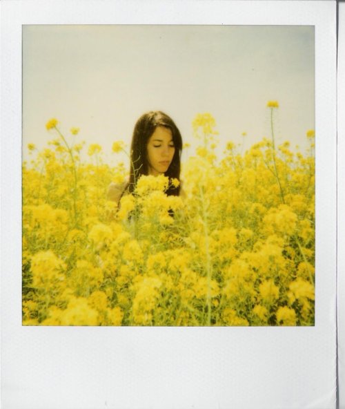 Polaroid 600 плівка