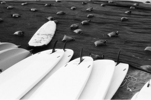 Lomography Monochrome Duet Earl Grey ISO 100 Плівкова Фотографія