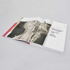 Книга 101 способ (101 WAYS BOOK)