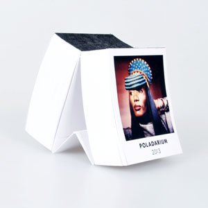 Календарь polaroid 2013