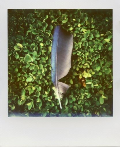 Кассета для Polaroid 600 - PX 680 Color Protection