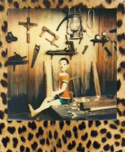 Polaroid 600 рамки кож