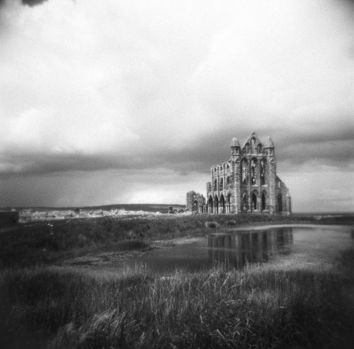 Arista EDU Ultra 400  Holga 120N