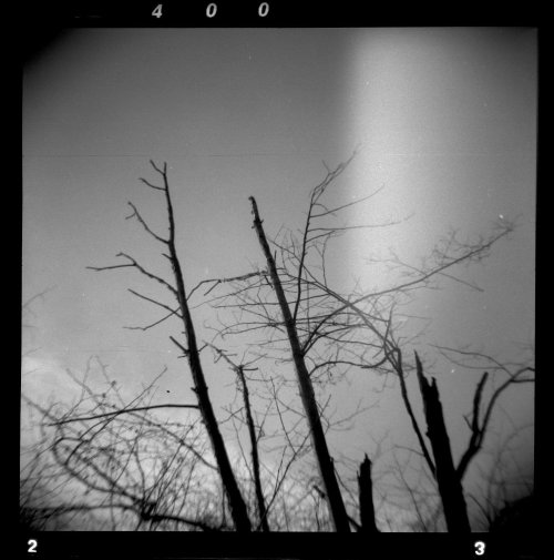 фотоплівка Arista EDU Ultra 400  Holga 120N