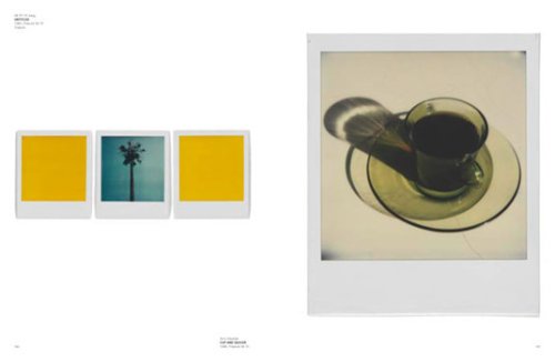 From Polaroid to Impossible