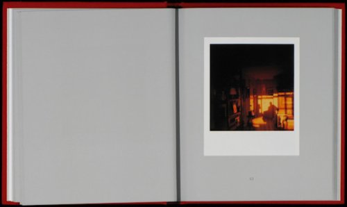Andre Kertesz The Polaroids