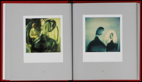 Andre Kertesz The Polaroids