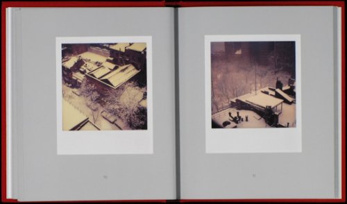 Andre Kertesz The Polaroids