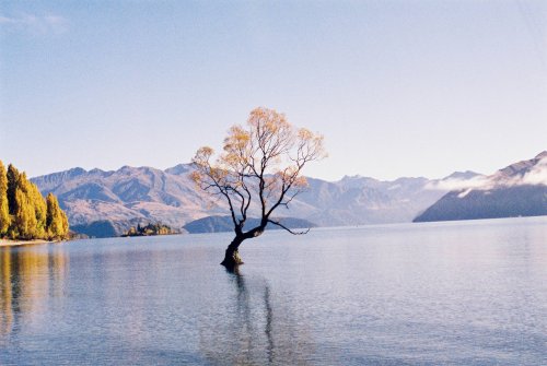 Contax 139 Quartz
