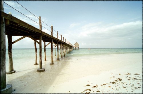 Minolta CLE