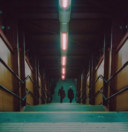 CineStill 800T 120 Rolleiflex 2.8f 