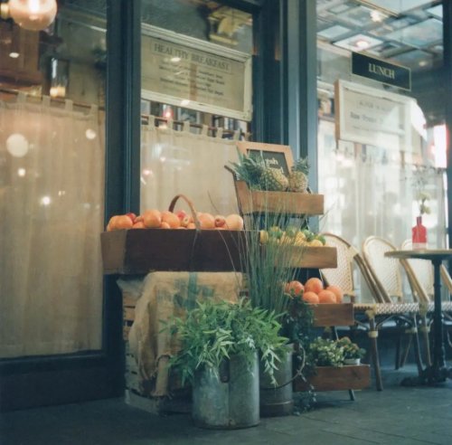 CineStill 800T 120 Yashica D TLR
