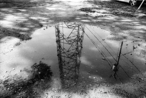 Lomography Earl Grey ISO 100 Nikon FT2