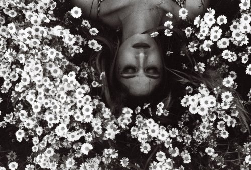 Lomography Earl Grey ISO 100 Voigtlander Vito CLR
