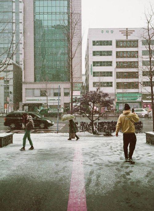Expired LomoChrome Purple 120 ISO 100–400