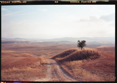 Fuji GW690ii Portra 400