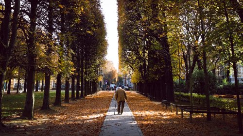 Цифровой фотоаппарат Fujifilm X-T20