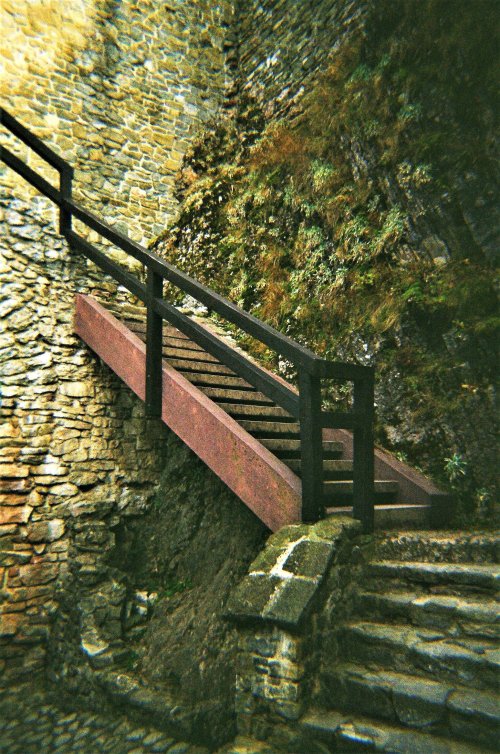 Harman Kodak Color Plus 200