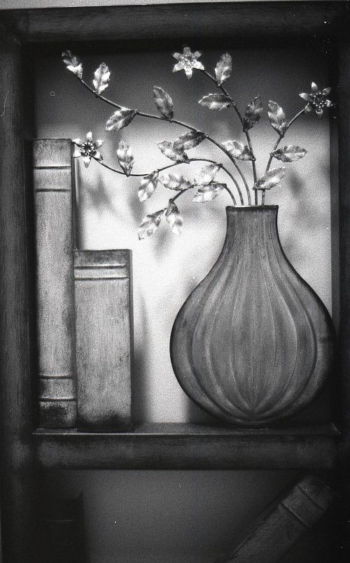 Holga 400 чорно-біла плівка 35мм