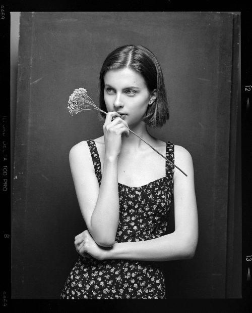 ilford delta 100 120 - Mamiya RZ67