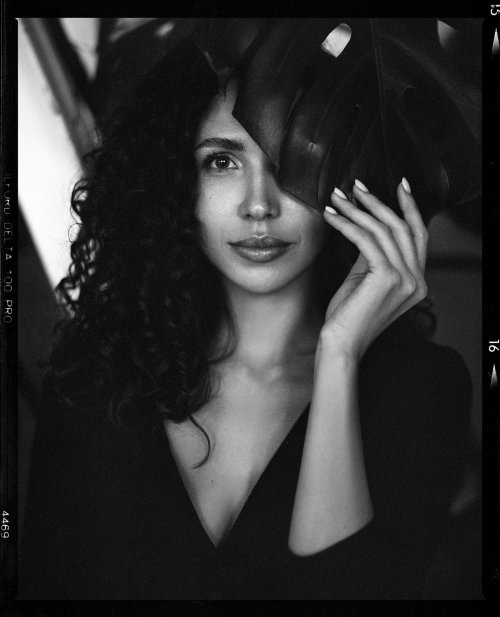 ilford delta 100 120 - Mamiya RZ67