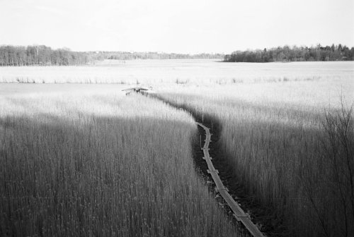 Ilford Delta 100 Professional 35 Olympus Mju II Zoom 80