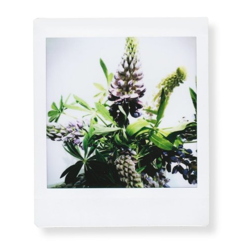 20 Sheets Fujifilm Instax SQ20 Square Twin Pack Film White Photo Paper