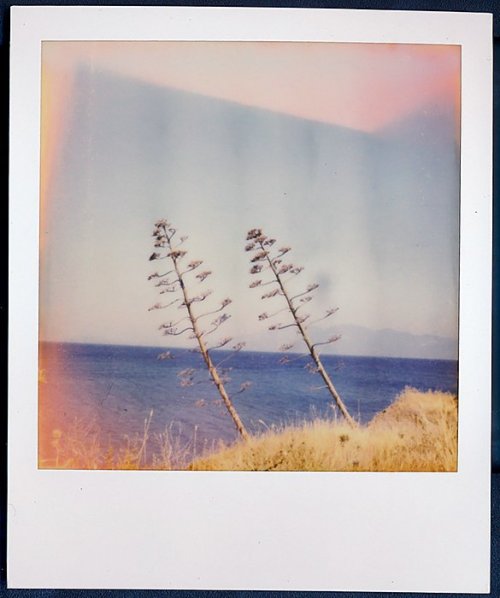 Polaroid SX-70 Sonar Autofocus