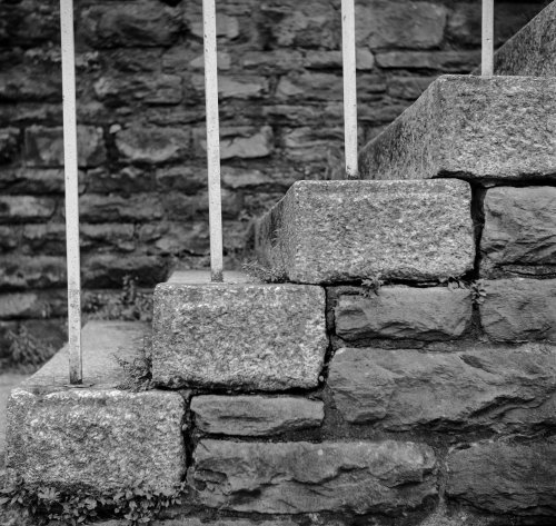 Kentmere Pan 400  фотозйомка