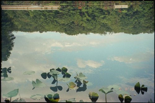 Kodak Colorplus 200   Pentax Zoom 105 Super